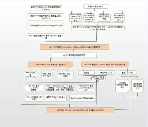 23個可編輯技術路線圖模板與繪制技巧: 涵蓋國自然9大熱點技術路線及貨物技術進出口業務指導